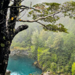 photo 1667152638737 c6e07786a08c